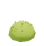 Bush