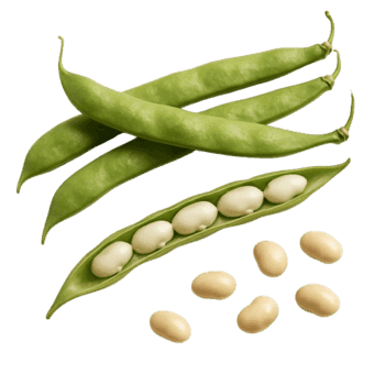 Slika Grah