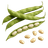 Slika Grah
