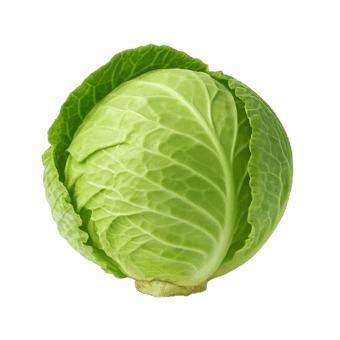 Slika Kupus
