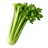 Slika Celer