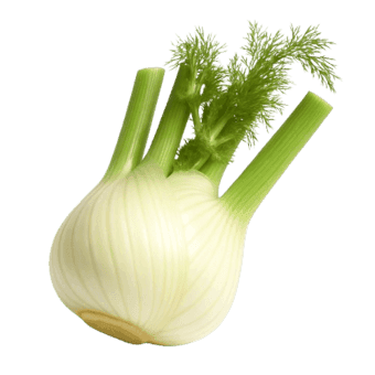 Slika Komorač