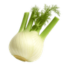 Slika Komorač