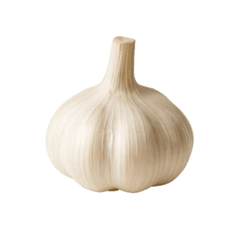 Slika Češnjak