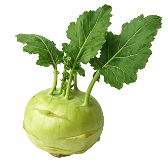 Slika Koraba