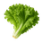 Slika Salata