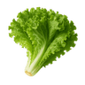 Slika Salata