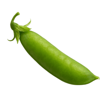 Slika Mahuna