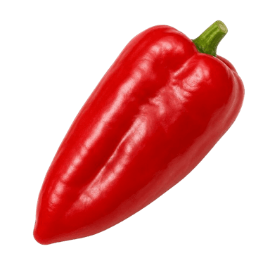 Paprika Slonovo uvo