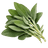 Kadulja