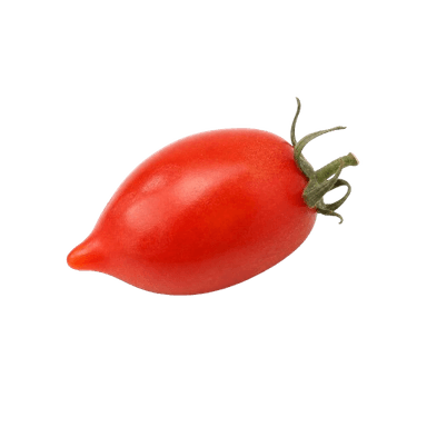 Rajčica fiaschetto