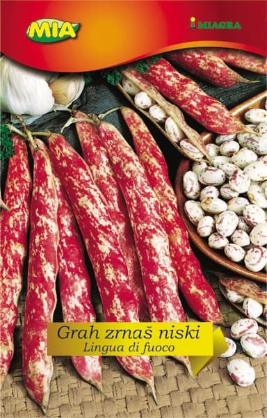 Pakiranje sjemena Miagra Grah Borlotto lingua di fuoco nano 200g