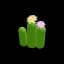 CactusColumnCluster
