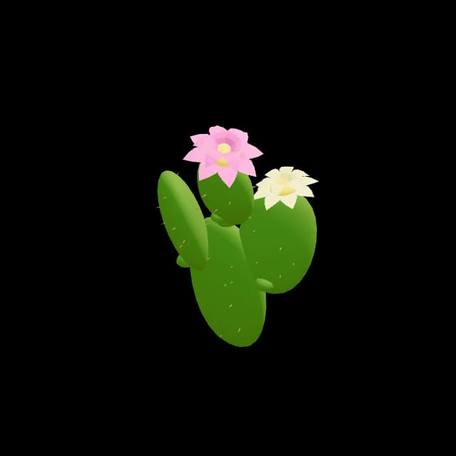 CactusPricklyPear