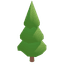 Pine