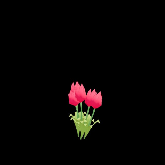 Tulip