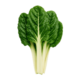 Blitva lisnata erbette