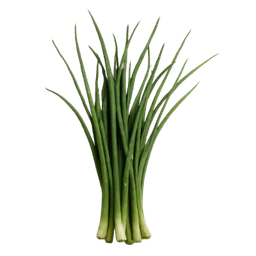 Luk vlasac erba cipollina