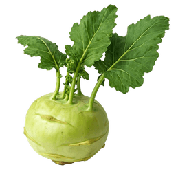 Koraba delikates weiser