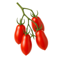 Rajčica scatolone 2