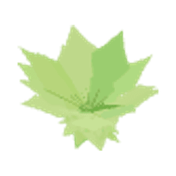Rukola