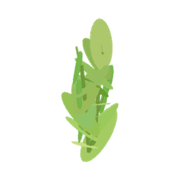 Bob