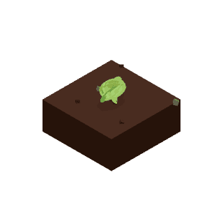 Bob