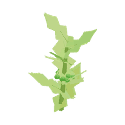 Brokula