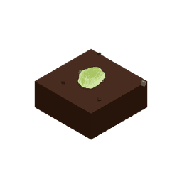 Koraba