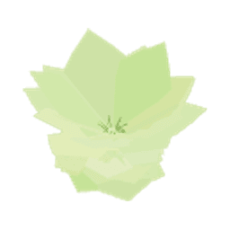 Salata