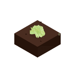 Salata