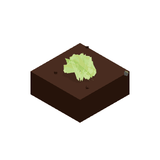 Salata