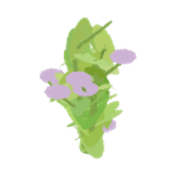 Origano