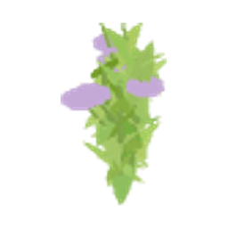 Timijan