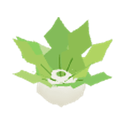 Repa