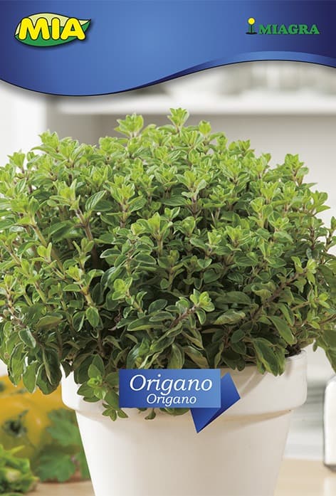 Pakiranje sjemena Miagra Origano 0.5g