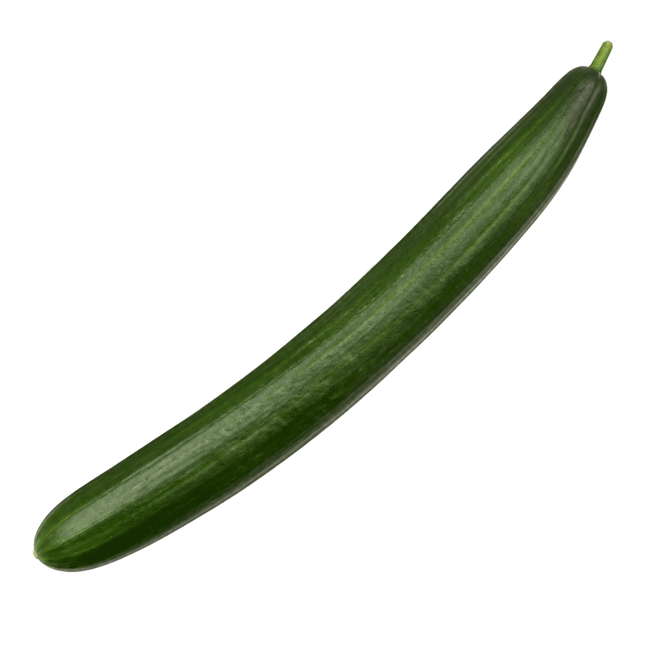 Sorta Krastavac dugi zeleni povezana sa sjemenom Green Garden krastavac dugi zeleni 2.5g