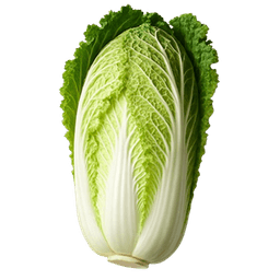 Slika Kupus kineski michihili