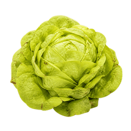 Salata zimska nansen's noordpool
