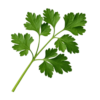 Peršin