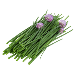 Vlasac Drobnjak Welta