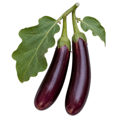 Patliđan Violetta Lunga