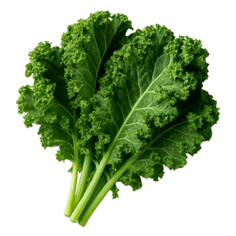 Kelj