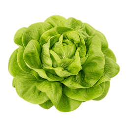 Salata puterica atrakcija