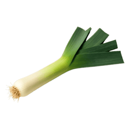 Poriluk Carentan