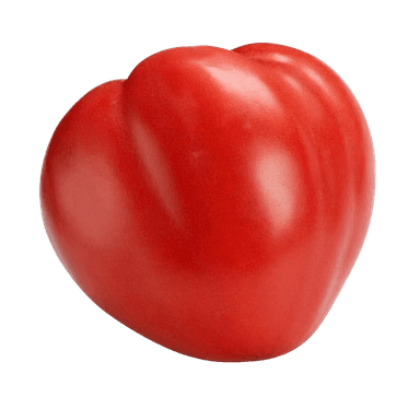 Rajčica Volovsko srce