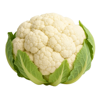 Cvjetača snowball