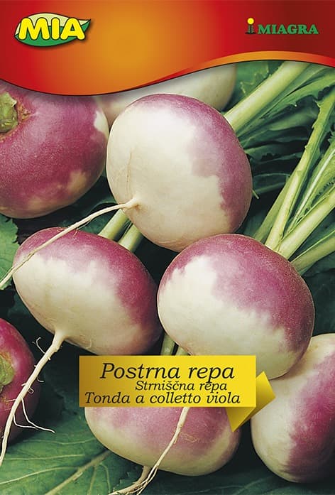Pakiranje sjemena Miagra Repa Postrna repa Tonda a colletto viola 8g