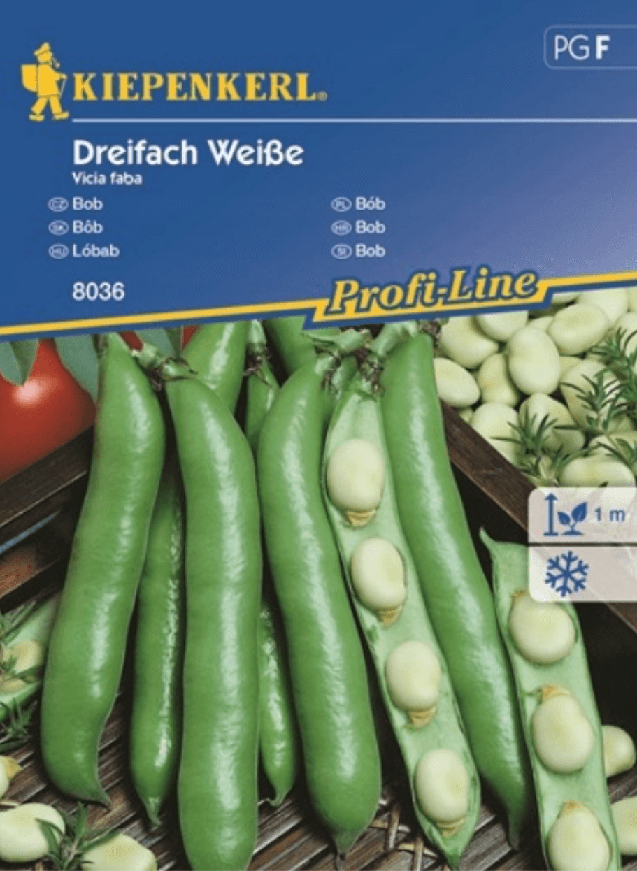Pakiranje sjemena Kiepenkerl Bob dreifach weisse 70g