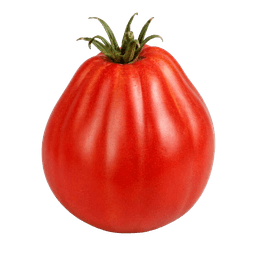 Rajčica Belmonte